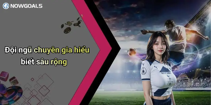 Đội ngũ chuyên gia hiểu biết sâu rộng
