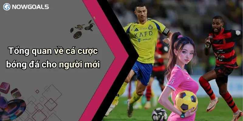Tổng quan về cá cược bóng đá cho người mới