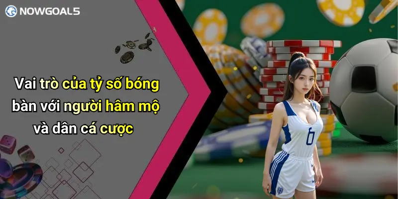 Vai trò của tỷ số bóng bàn với người hâm mộ và dân cá cược