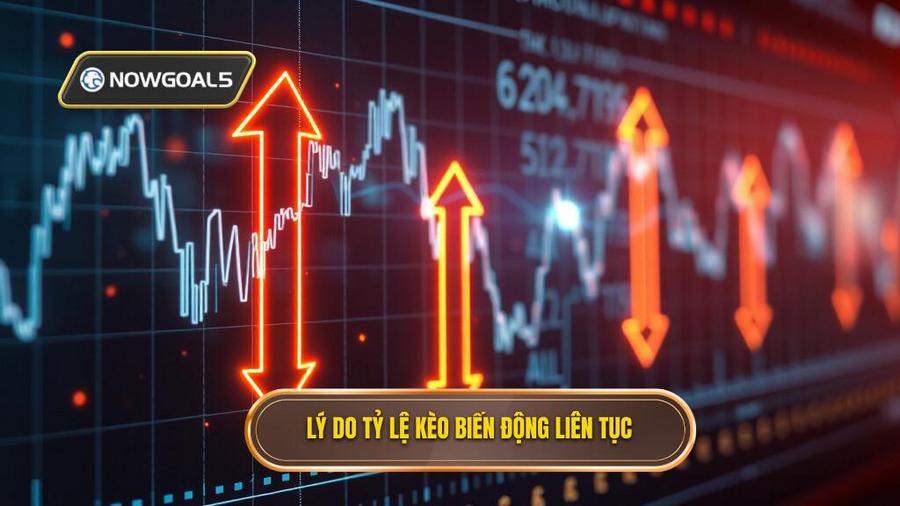 Tại sao tỷ lệ kèo lại biến động liên tục?