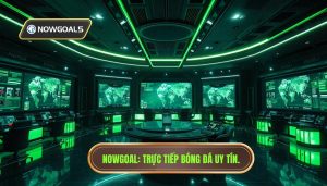 Tổng hợp trận đấu live hôm nay Nowgoal: Cập nhật dữ liệu bóng đá trực tuyến siêu tốc