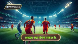 Đội tuyển quốc gia live trên Nowgoal: Nền tảng cập nhật dữ liệu bóng đá đỉnh cao